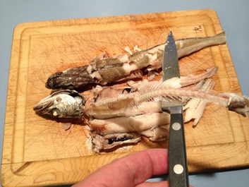 Do Whiting Fish Have Bones 
